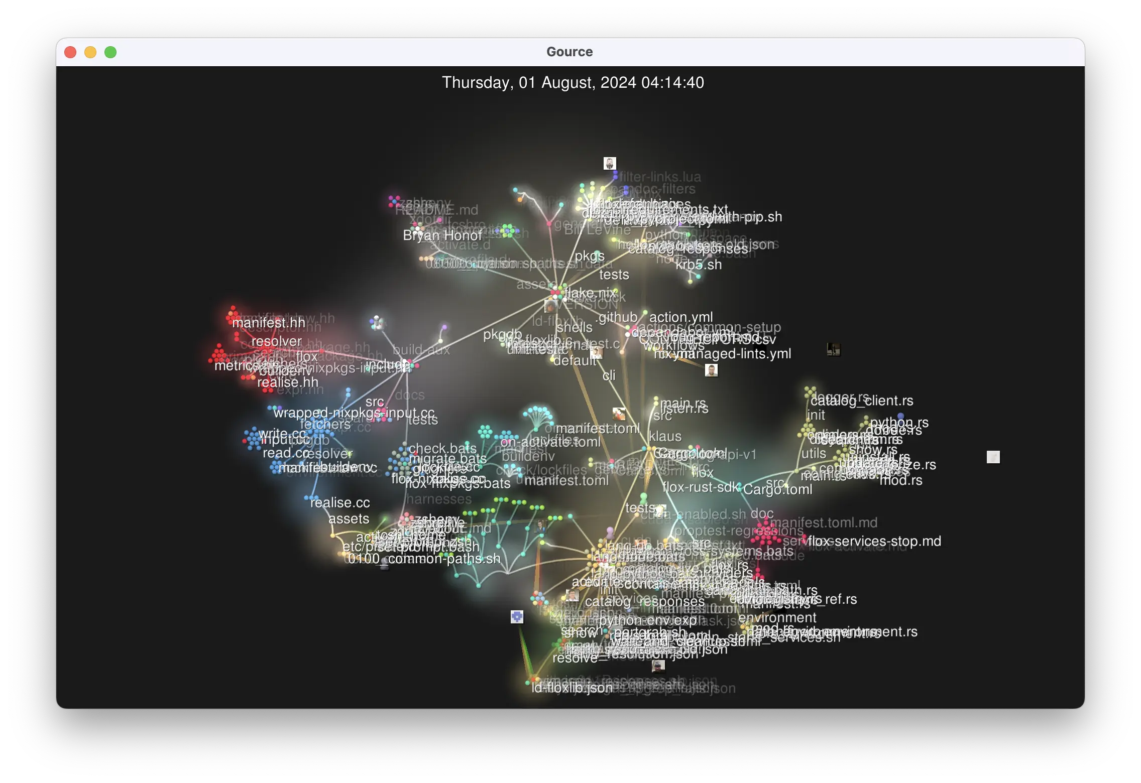 Gource running on flox/flox